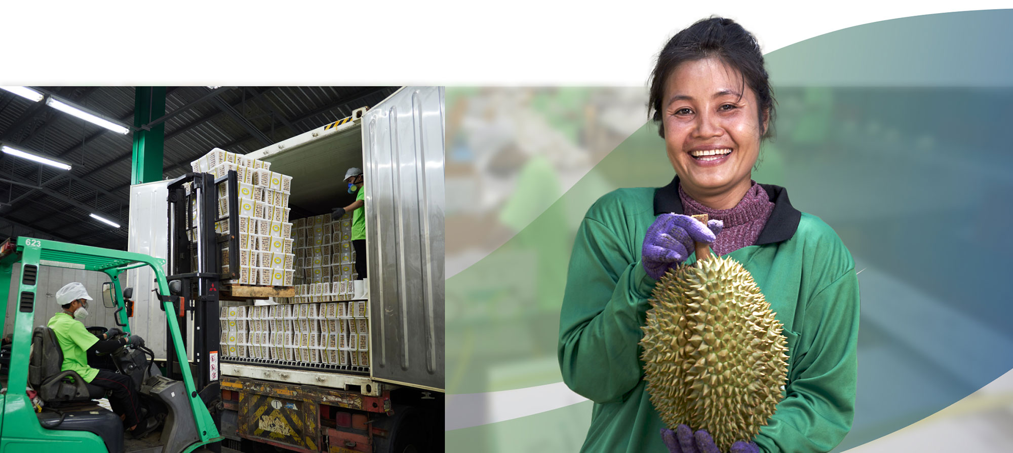 fruit certification