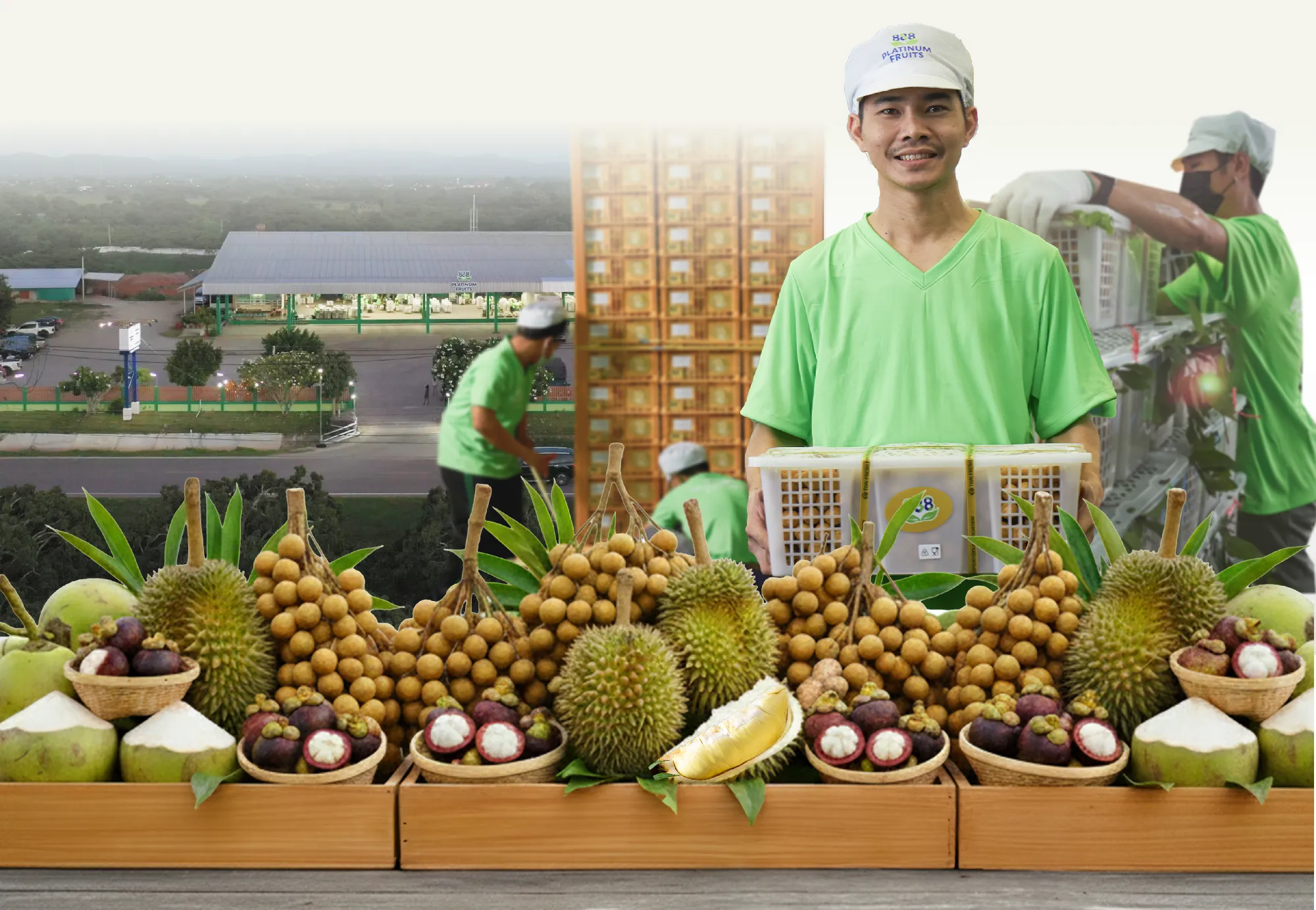 Export the fruits, expand the world.